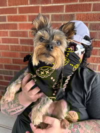 Image 5 of Bad Bandanna (Portion of sales donated to HARP)