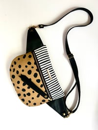 Image 1 of Spots & stripes