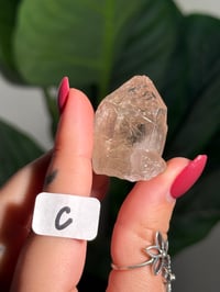 Image 3 of CHOOSE YOUR OWN MINI RUTILE SMOKEY QUARTZ POINTS (NATURAL UNPOLISHED POINTS) -BRAZIL- LOT 1
