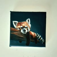 Image 1 of Red Panda