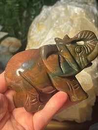 Ocean jasper 1 elephant