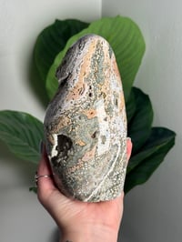 Image 1 of PEACHY GREEN VEINLESS OCEAN JASPER FREEFORM -MADAGASCAR-