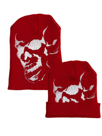 Image 4 of D4N Beanies