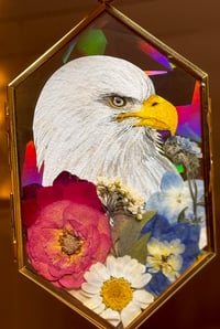 Image 1 of Bald Eagle Suncatcher 