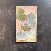 Image 1 of Fig Leaf 