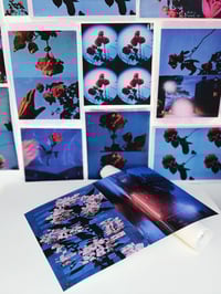 Image 3 of NIGHT LANDSCAPES IV