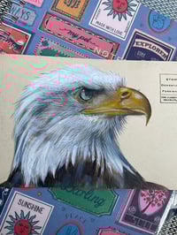 Image 2 of Bald Eagle on vintage Alaska postcard 