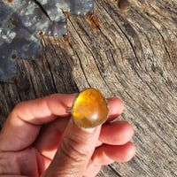 Image 1 of Citrine Sun, US 9