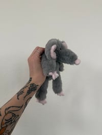 Image 6 of Mystery Rat Pre-Orders 