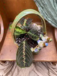 Image 4 of Prayer Plant in Glazed Bird Basket