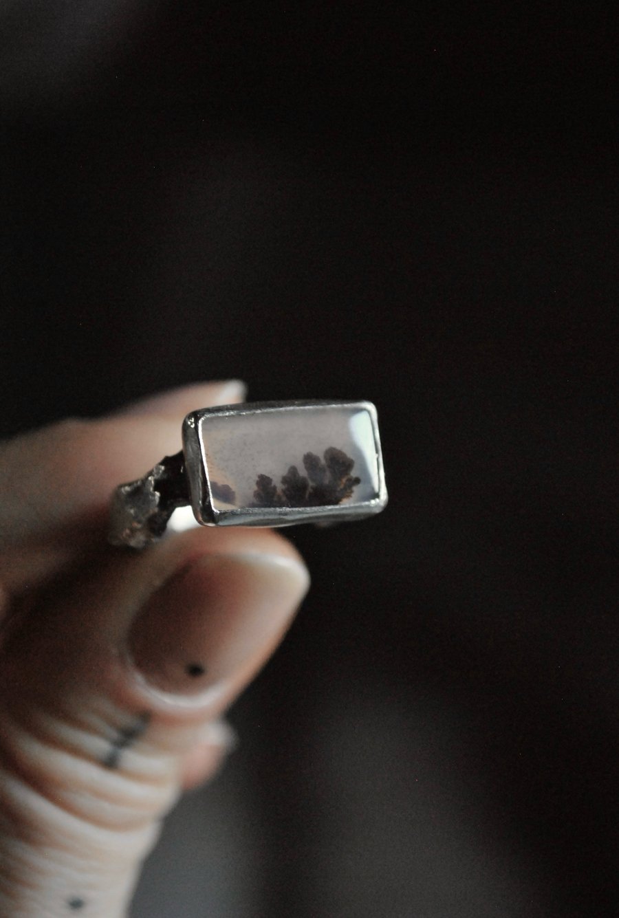 Image of Foresta d’inverno