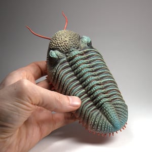 Eldredgeops Trilobite Resin Sculpture