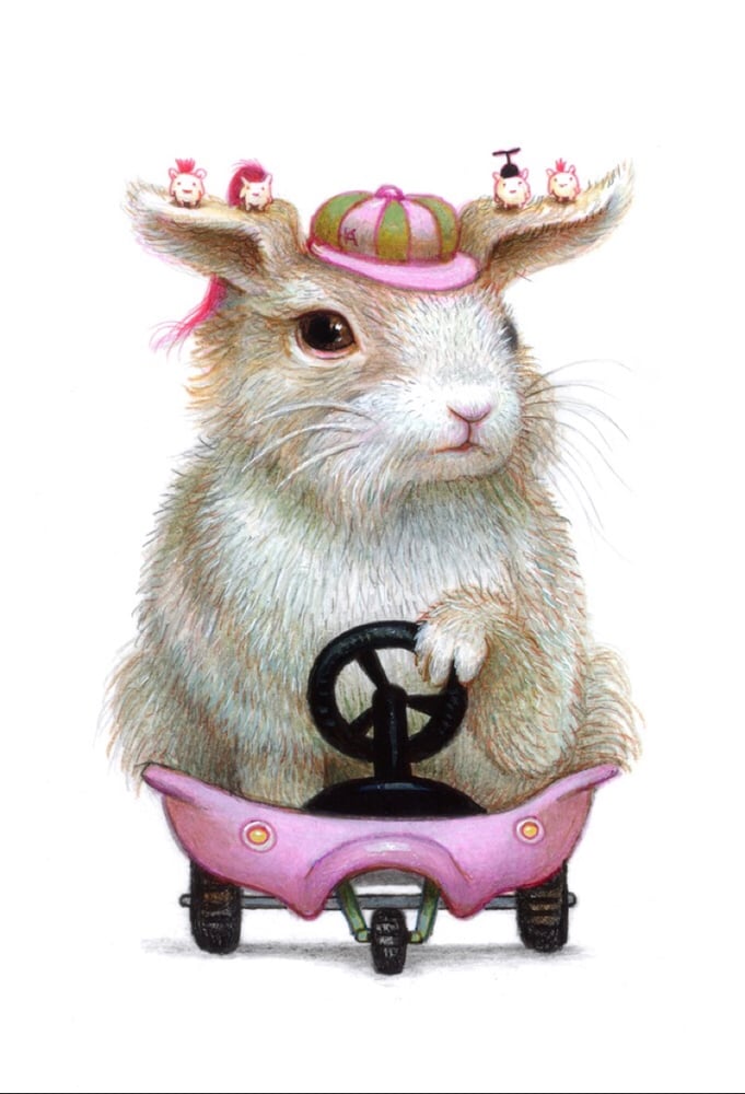 Image of Sheebu Rides Again