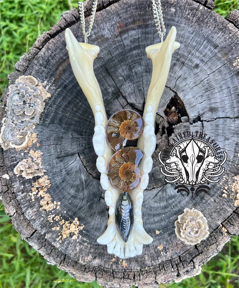 Image of Wolf Jawbone Statement Necklace with Ammonite & Orthoceras Fossils