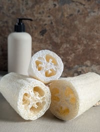 Image 1 of Natural Loofah Sponge