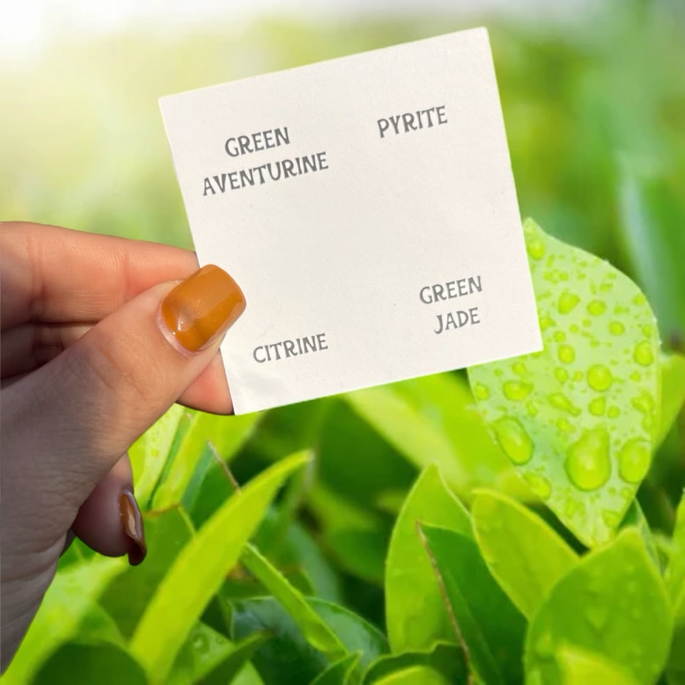 Image of Money Tumble Set