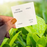 Image 3 of Money Tumble Set