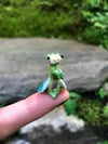 Fairy Mantis