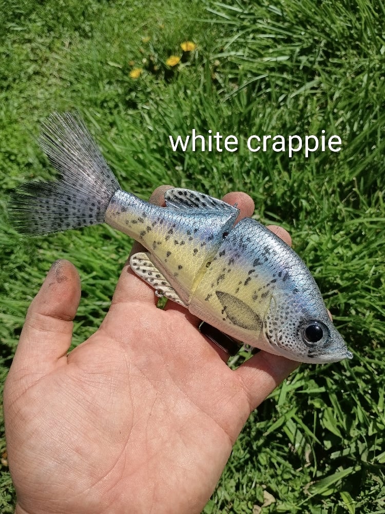 Image of Crooked Crappie