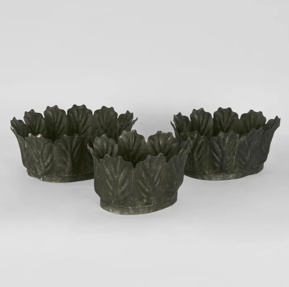 Image of Kale Pot  Zinc
