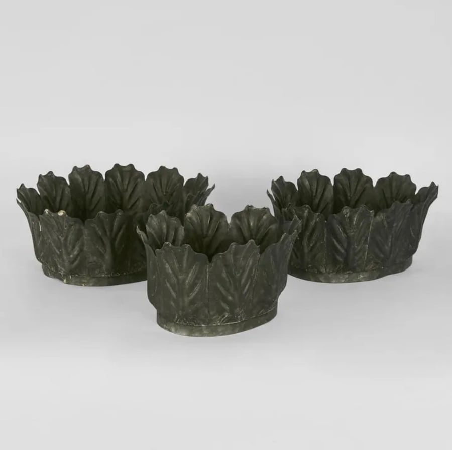 Image of Kale Pot  Zinc