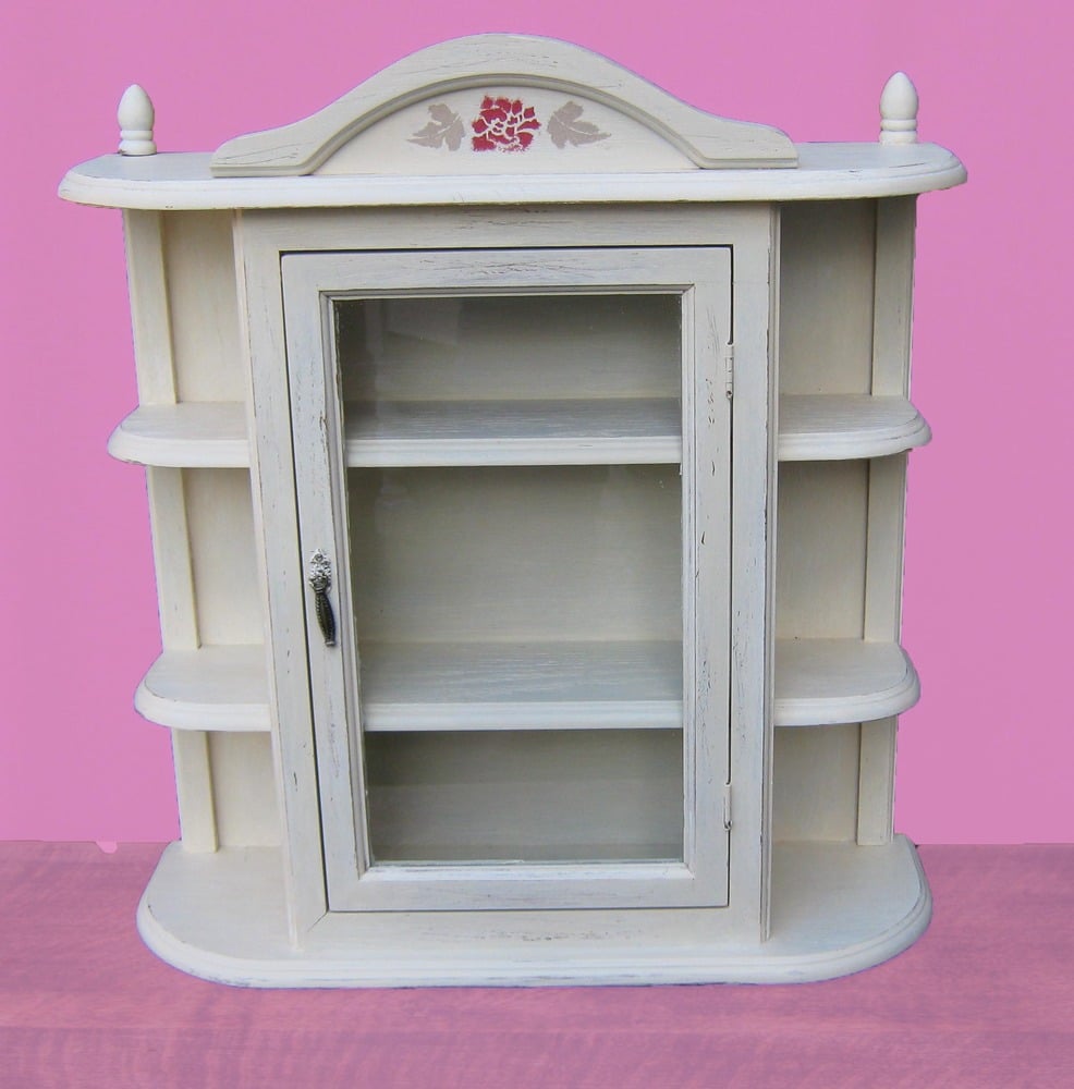 Tracey D Stylehouse Painted Glass Fronted Display Wall Cabinet