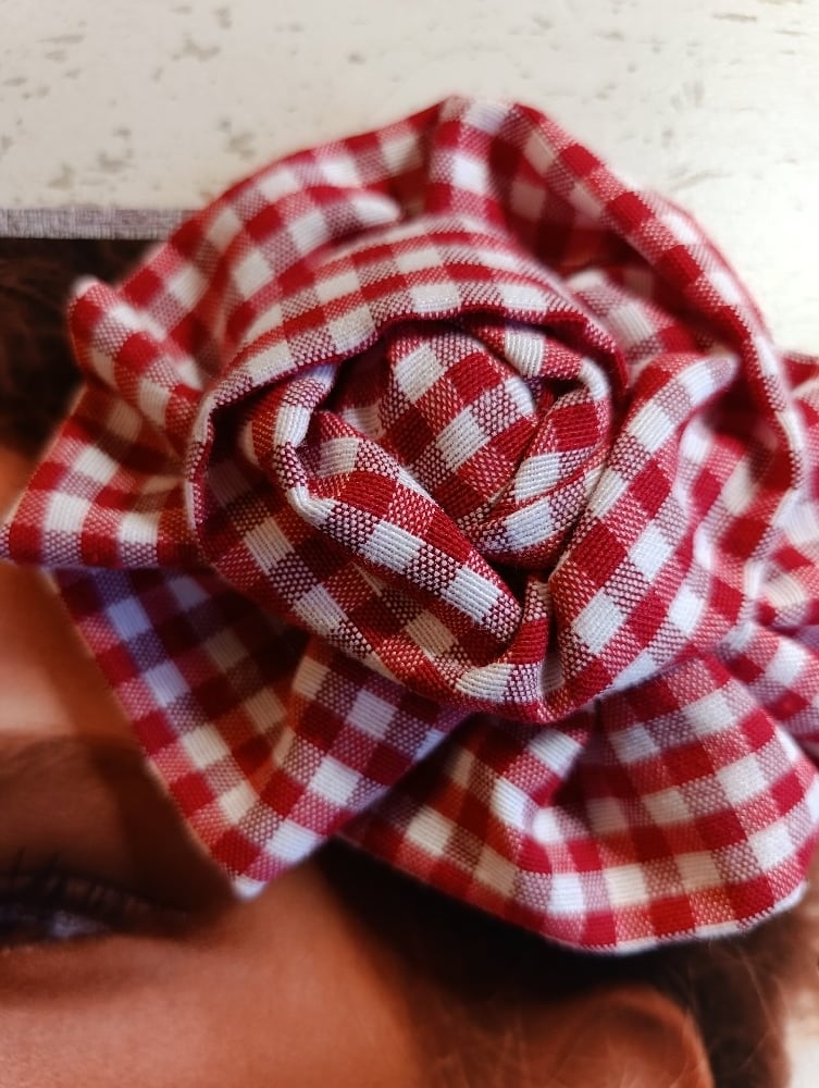 Image of Fermaglio rosa pic-nic fantasia Vichy rosso/bianco