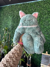 Jumbo XL Kitten Bloog Berry 💙
