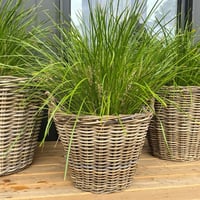 Image 2 of Harolds Signature Baskets - Tapered - Lined