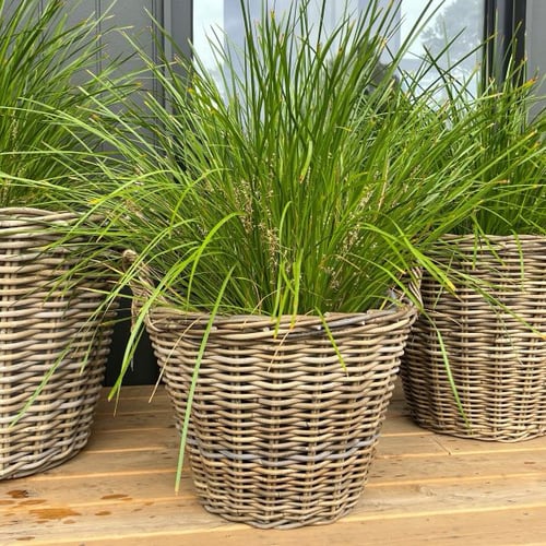 Image of Signature Tapered Rattan Basket  Lined