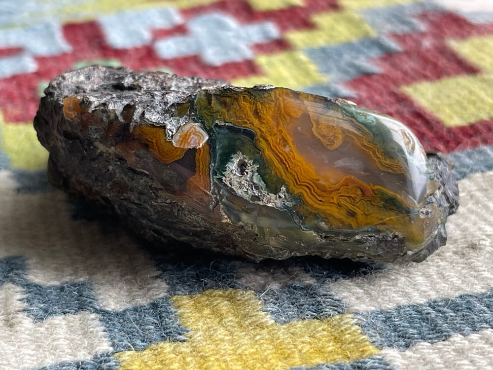 Orange and Green Agatized Wood
