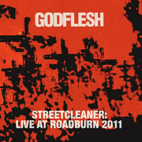 Godflesh. Live at Roadburn 2011