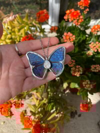 Blue butterfly 