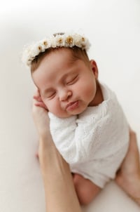 Image 7 of Wispy Daisy Halo