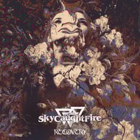 Image 1 of DIY “Recovery” CD