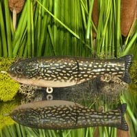 Finesse Shat - Pickerel 🐉