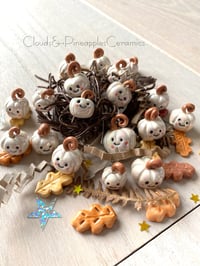 Image 1 of Mini teeny weeny ghost pumpkins 
