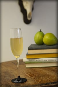 Image 1 of Champagne Glass - Set of 2 - Slate