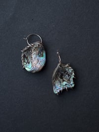 Image 3 of pierced abalone earingsss