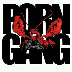 Image of Porn Gang Mixtape Out Soon !