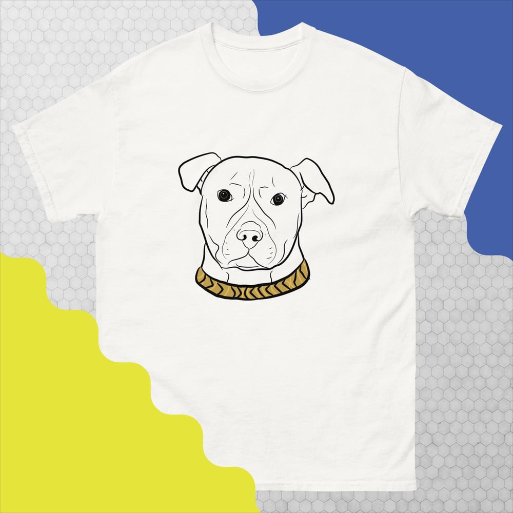 PITBULL LOVE 