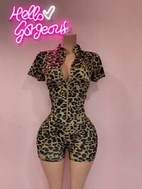 Cheetah set