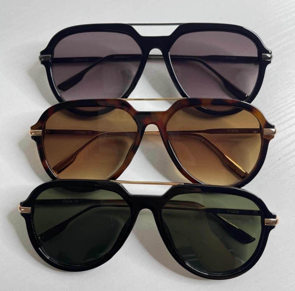 Image of Envy Sunglasses 