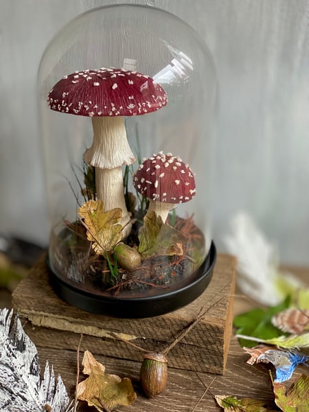 Image of Red Amanita Muscaria mushroom cloche
