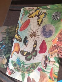Image 3 of Spring colors XL poster 