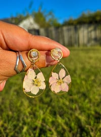 Larkspur n Aqua Quartz