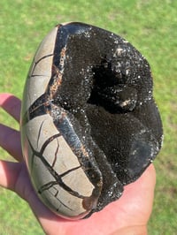 Image 12 of Septarian Nodule Polished Freeform | Madagascar #2897
