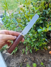 Carbon steel butter knife