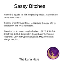 Image 4 of Sassy Bitches 