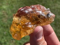 Image 1 of Amber Specimen #1944